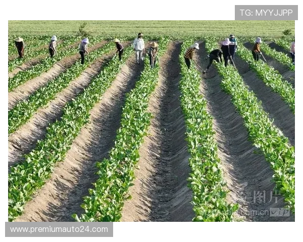 A8体育app苹果版功能介绍，满足用户多样化体育娱乐和赛事互动需求